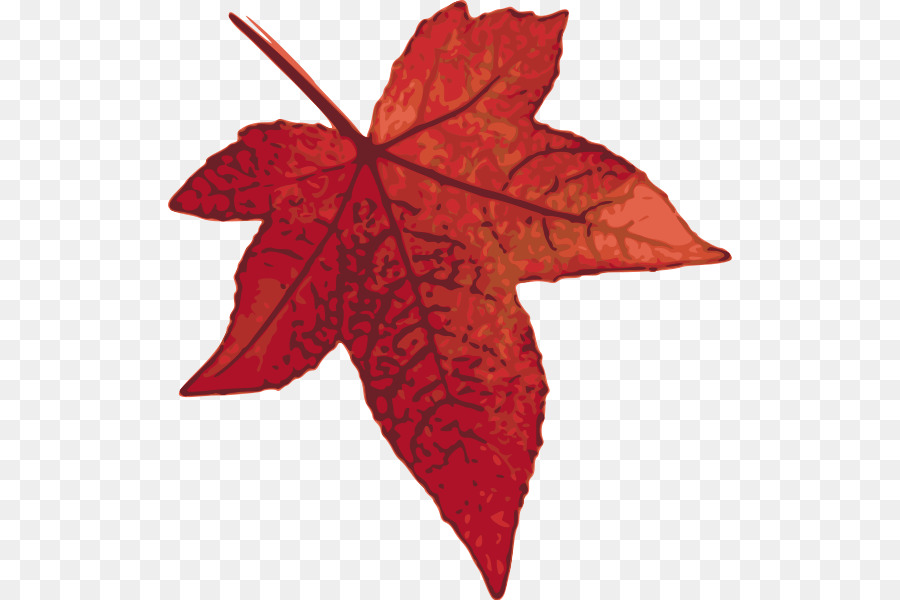 Feuille Rouge，Automne PNG