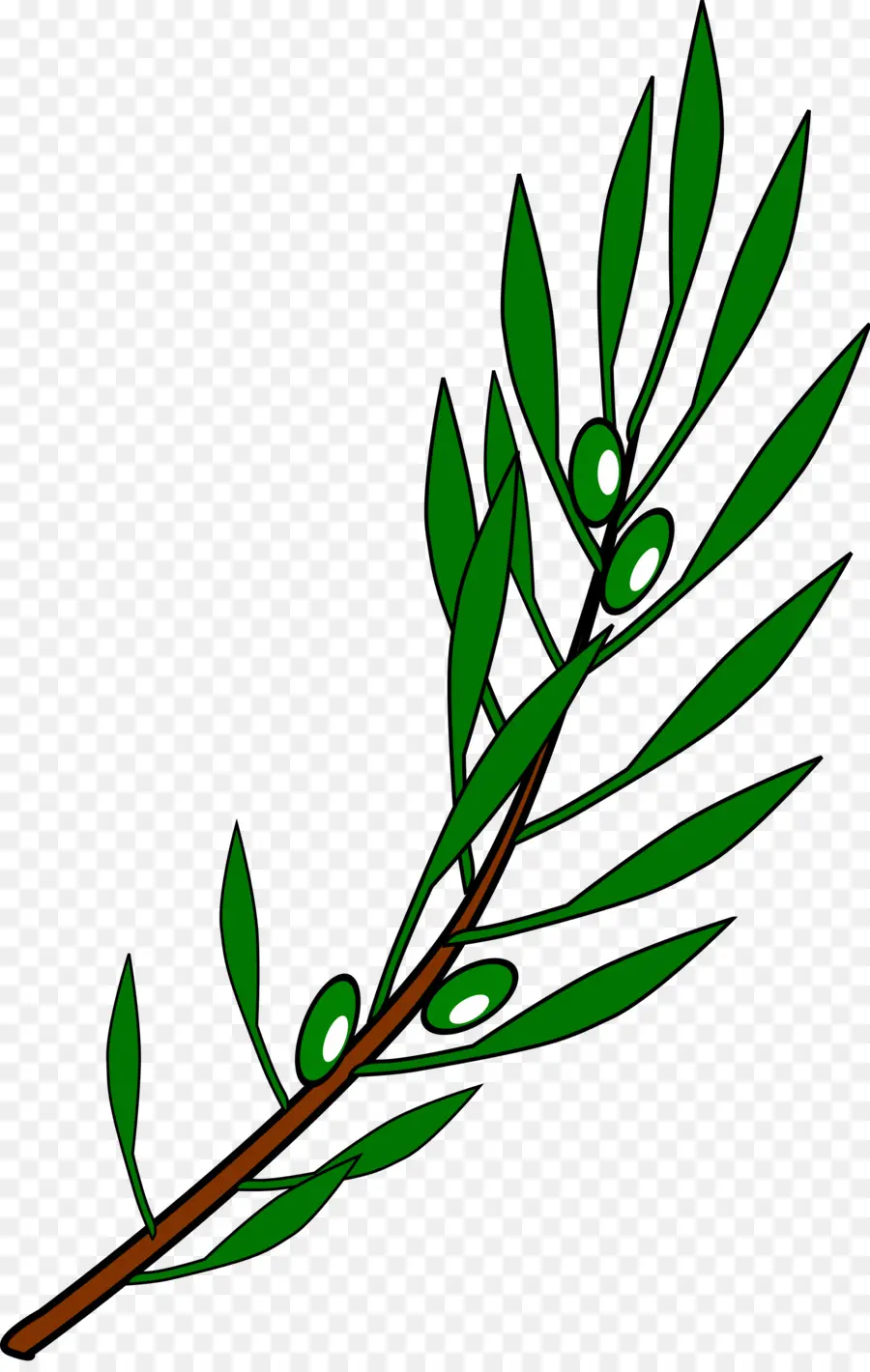 Branche D'olivier，Cuisine Méditerranéenne PNG