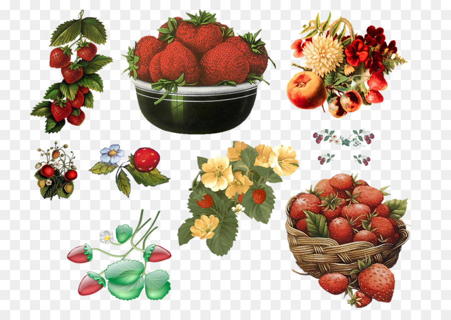 Fraise，Graphiques Raster PNG