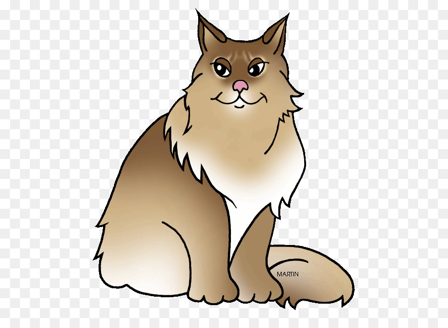 Le Maine Coon，Maine Maine PNG