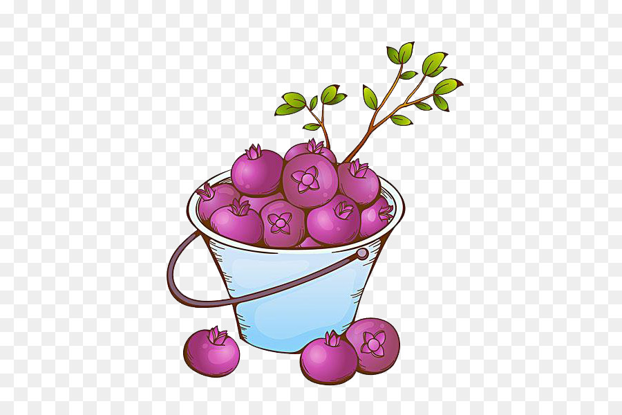 Mangoustan Violet，Fruit PNG