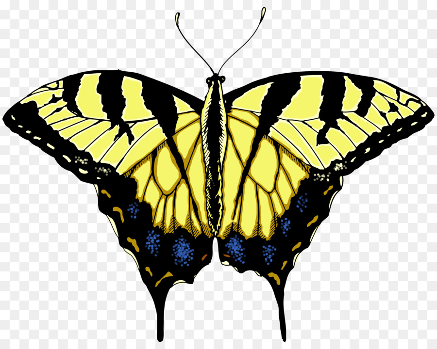 Papillon，Ailes PNG