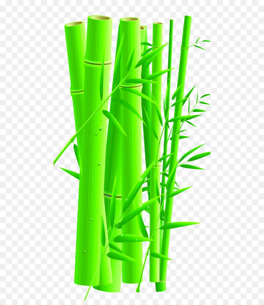 Bambou，Dessin Animé PNG