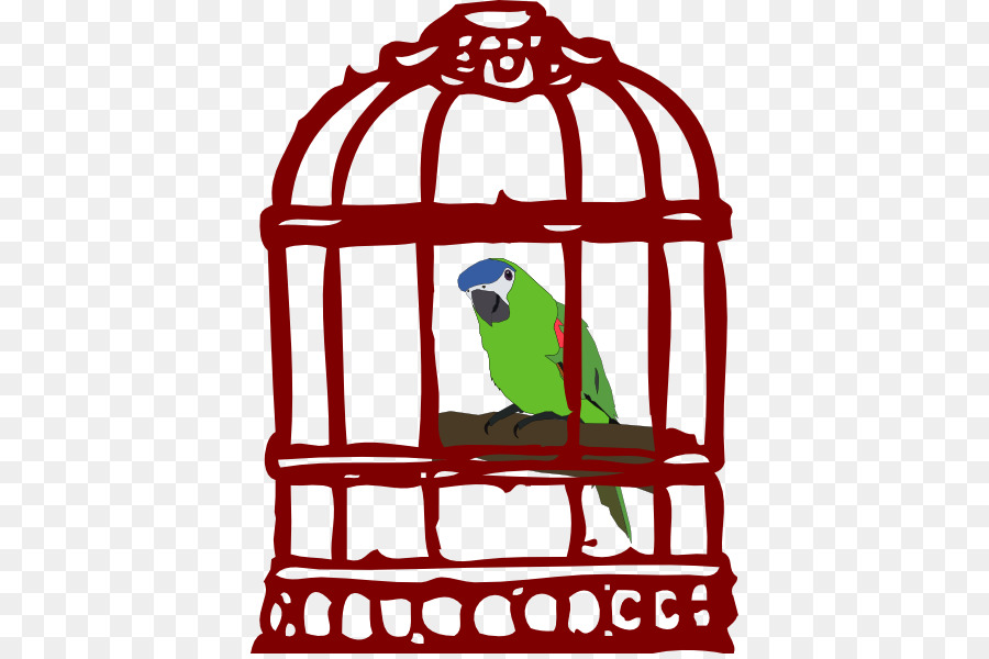 Perroquet En Cage，Oiseau PNG