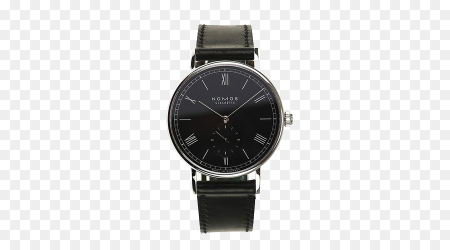 Montre，Groupe De Fossiles PNG