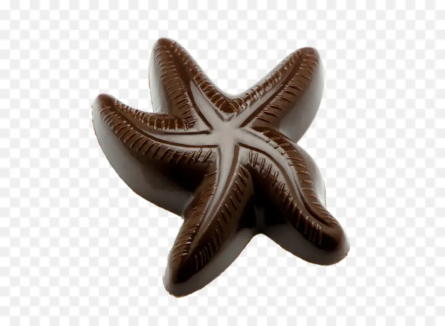 Étoile De Mer En Chocolat，Brun PNG