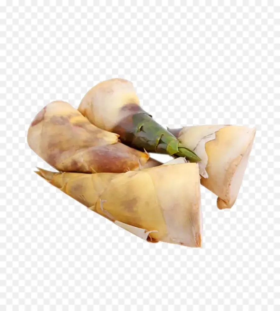 Pousses De Bambou，Légume PNG