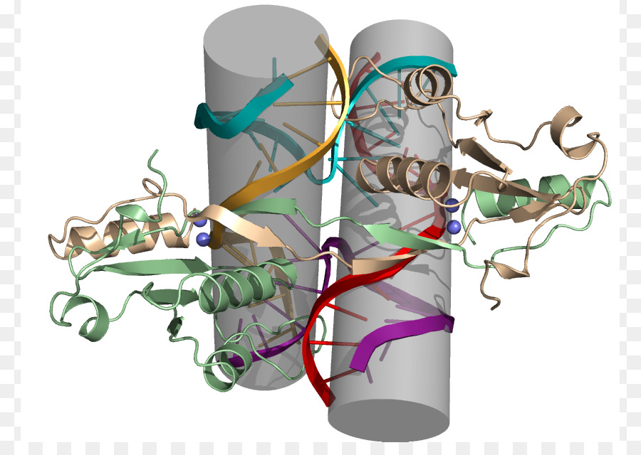 Machine Internationale Génétiquement Modifiée，E Coli PNG