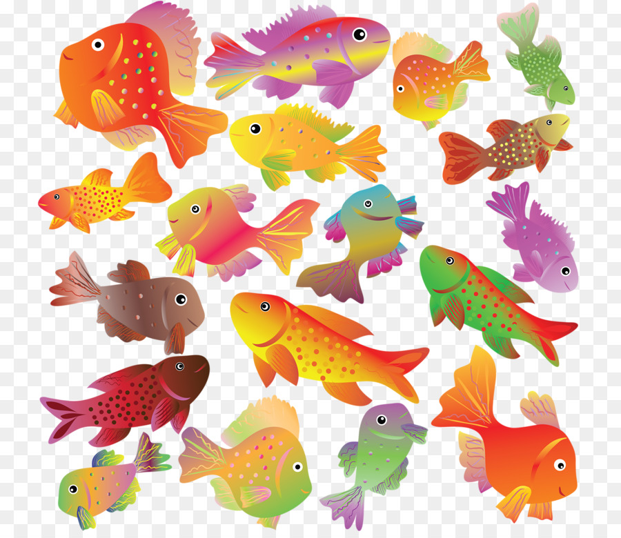 Poisson Coloré，Aquatique PNG