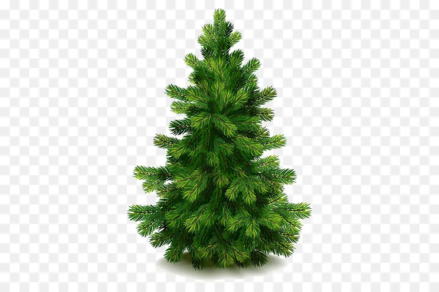 Pin，Arbre PNG