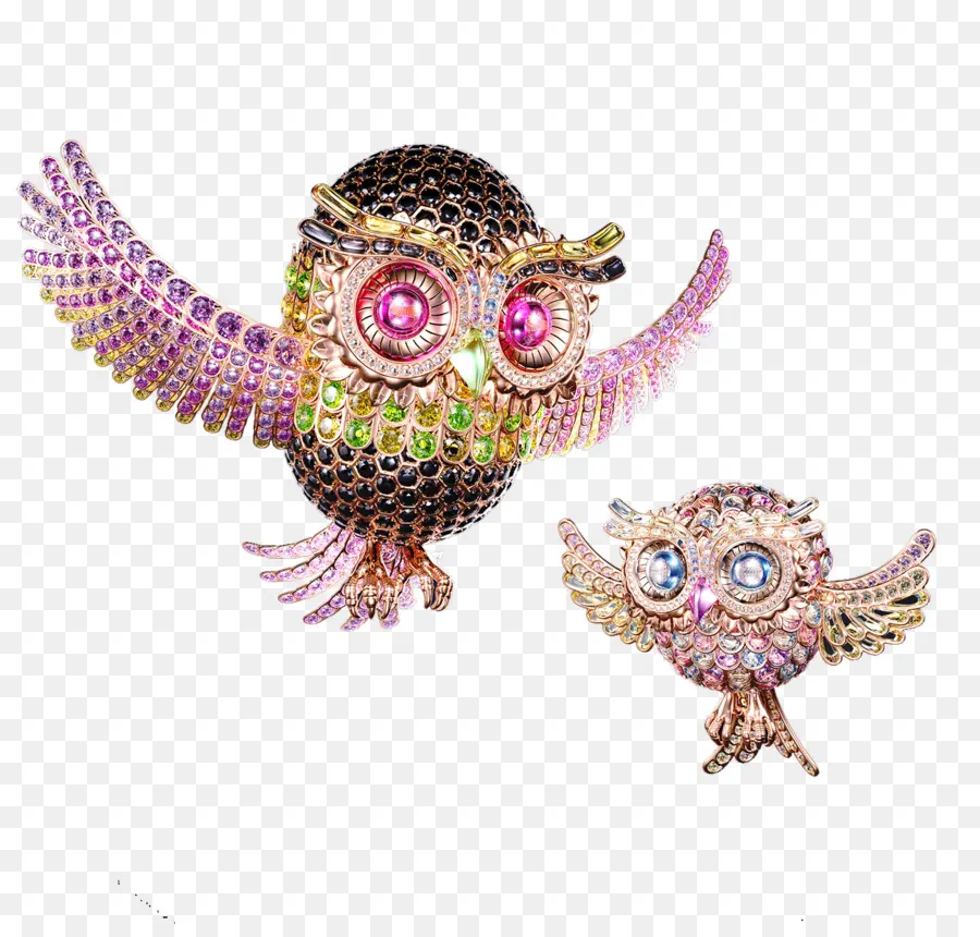 Broches Hibou，Coloré PNG