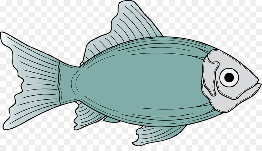 Poisson，Betta PNG