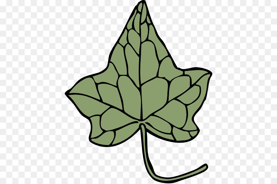 Ivy，De La Vigne PNG