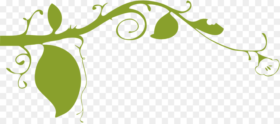 Vigne Verte，Feuille PNG