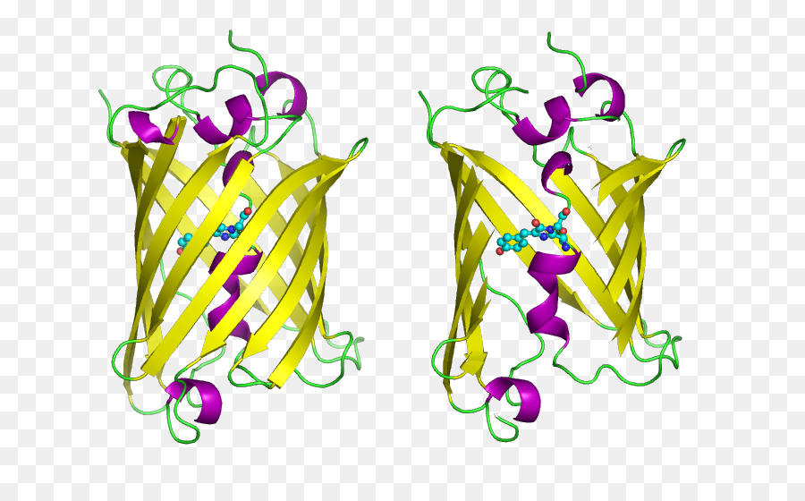 Méduse，Protéine Fluorescente Verte PNG