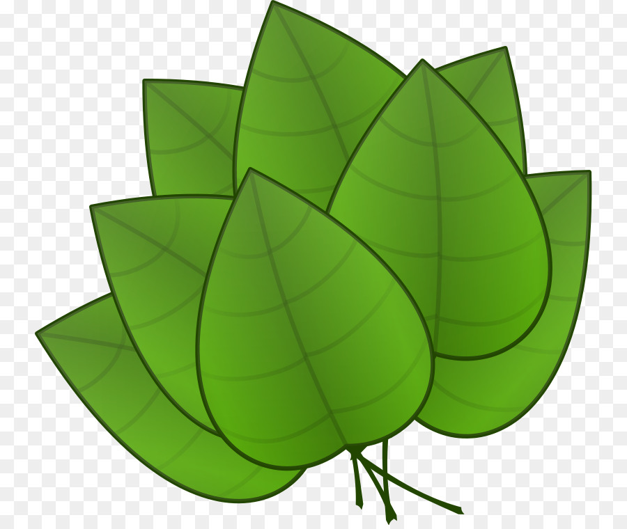 Feuilles Vertes，Feuillage PNG