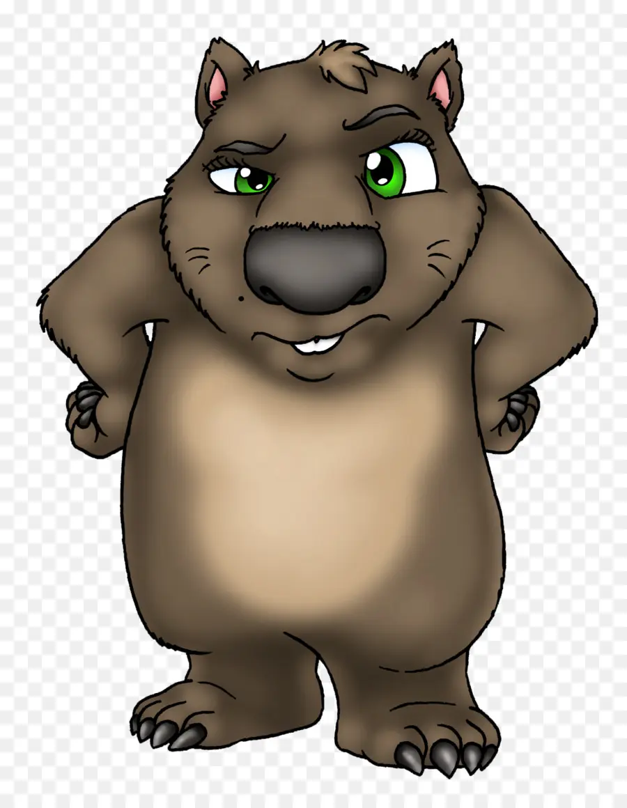 Wombat，Dingo PNG