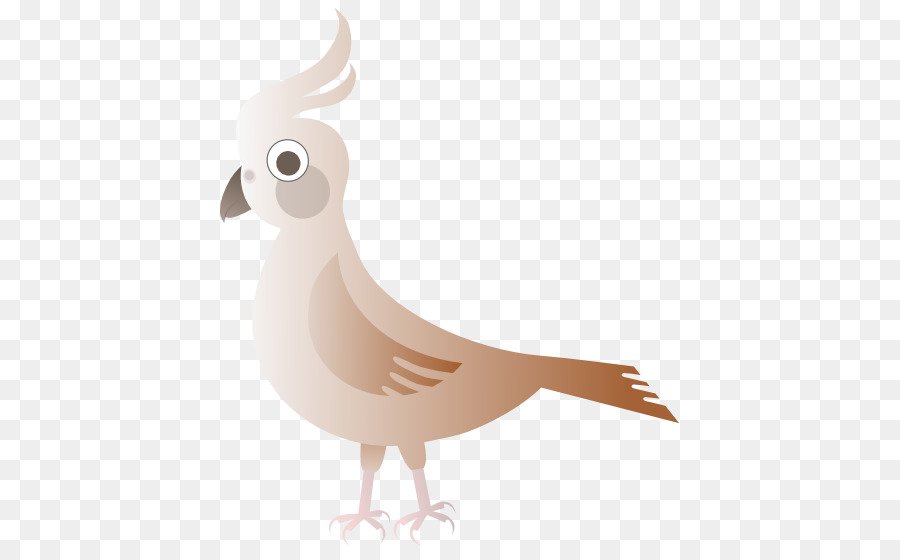 Oiseau，Coracine PNG