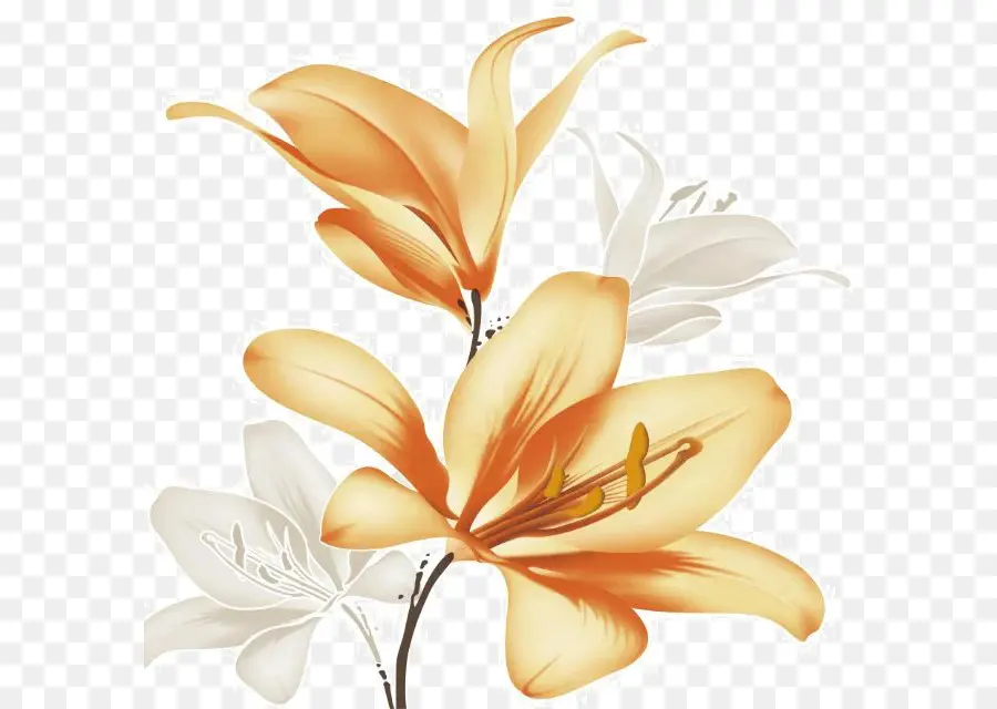 Fleurs Oranges Et Blanches，Orange PNG