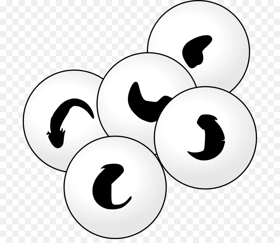 Formes Noires，Cercles PNG