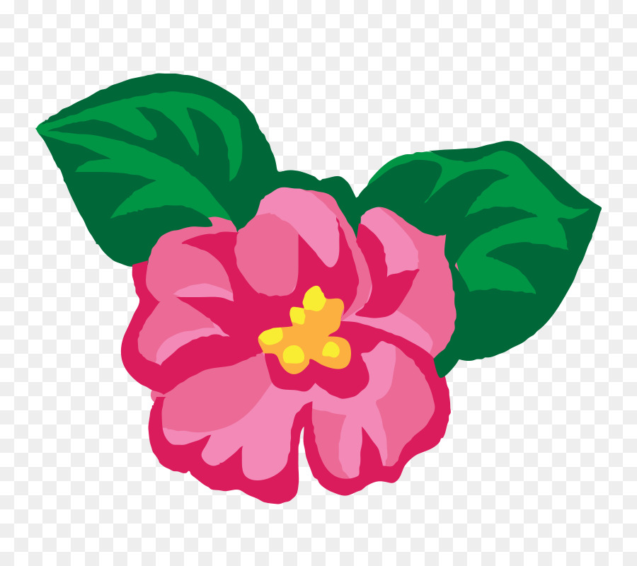 Fleur Rose，Floraison PNG