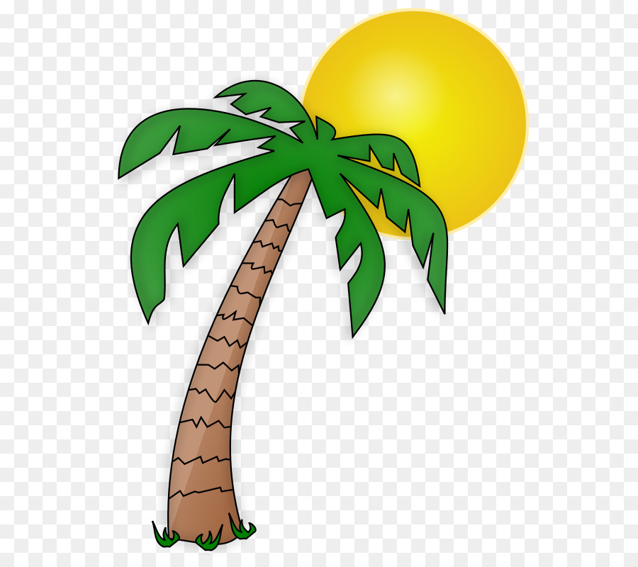 Arecaceae，Dessin Animé PNG