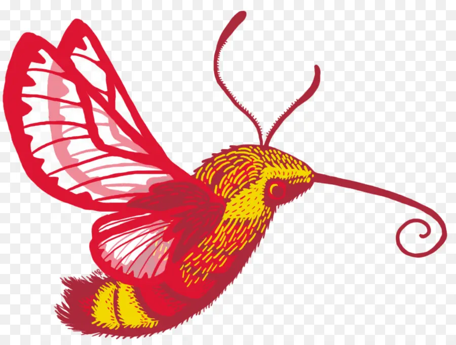 Colibri，Rouge PNG