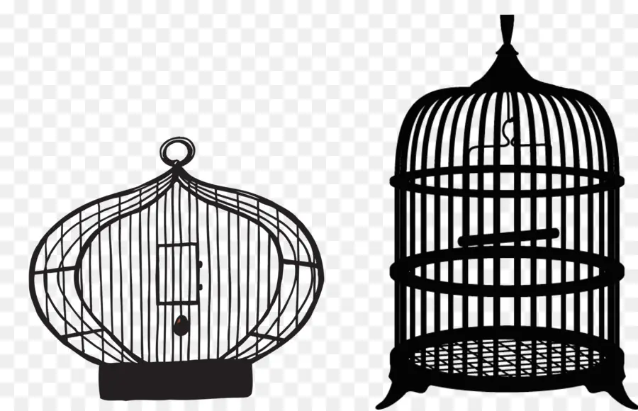 Cages à Oiseaux，Cage PNG