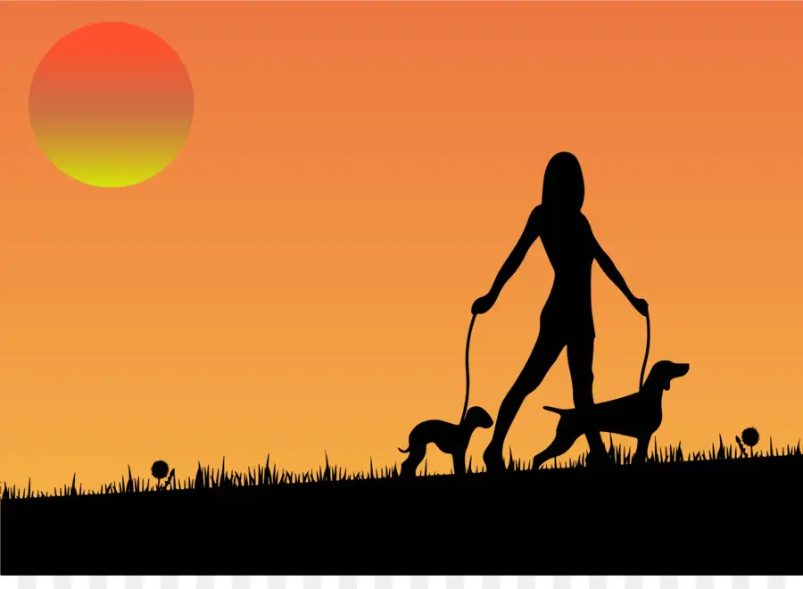 Femme Promenant Des Chiens，Coucher De Soleil PNG