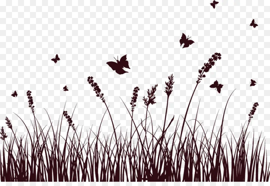 Silhouette D'herbe Et De Papillons，Insectes PNG