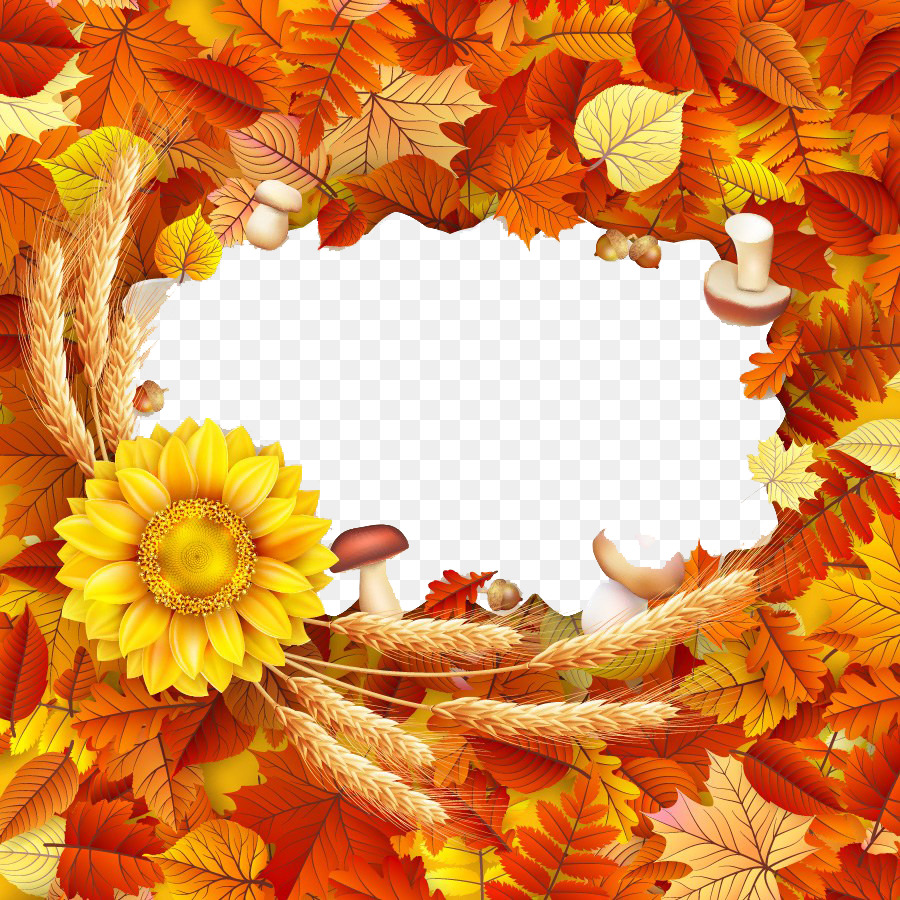 Feuilles D'automne，Cadre PNG