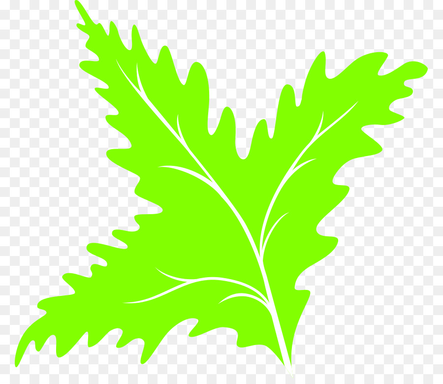 Feuille Verte，Usine PNG