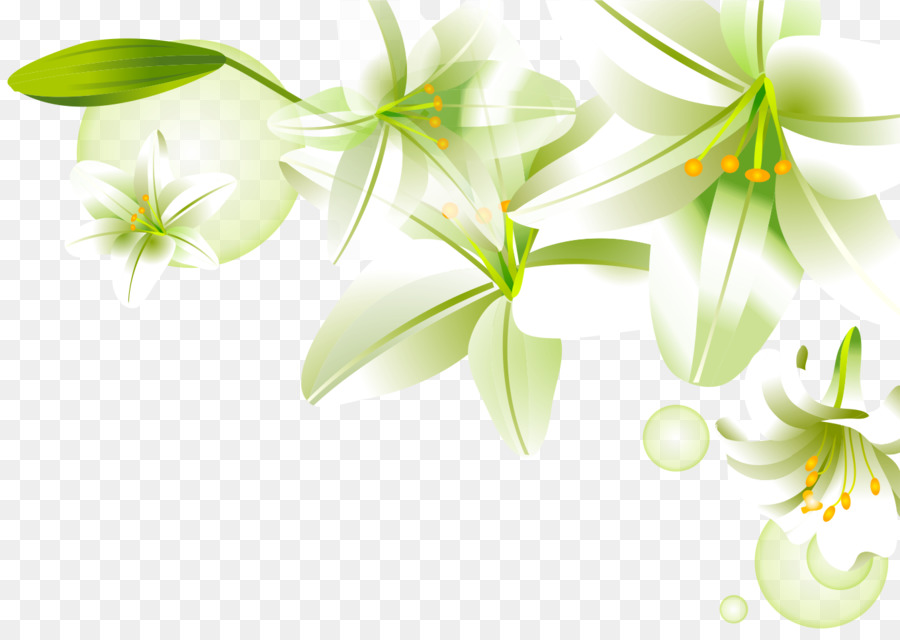 Conception Florale，Fleurs PNG