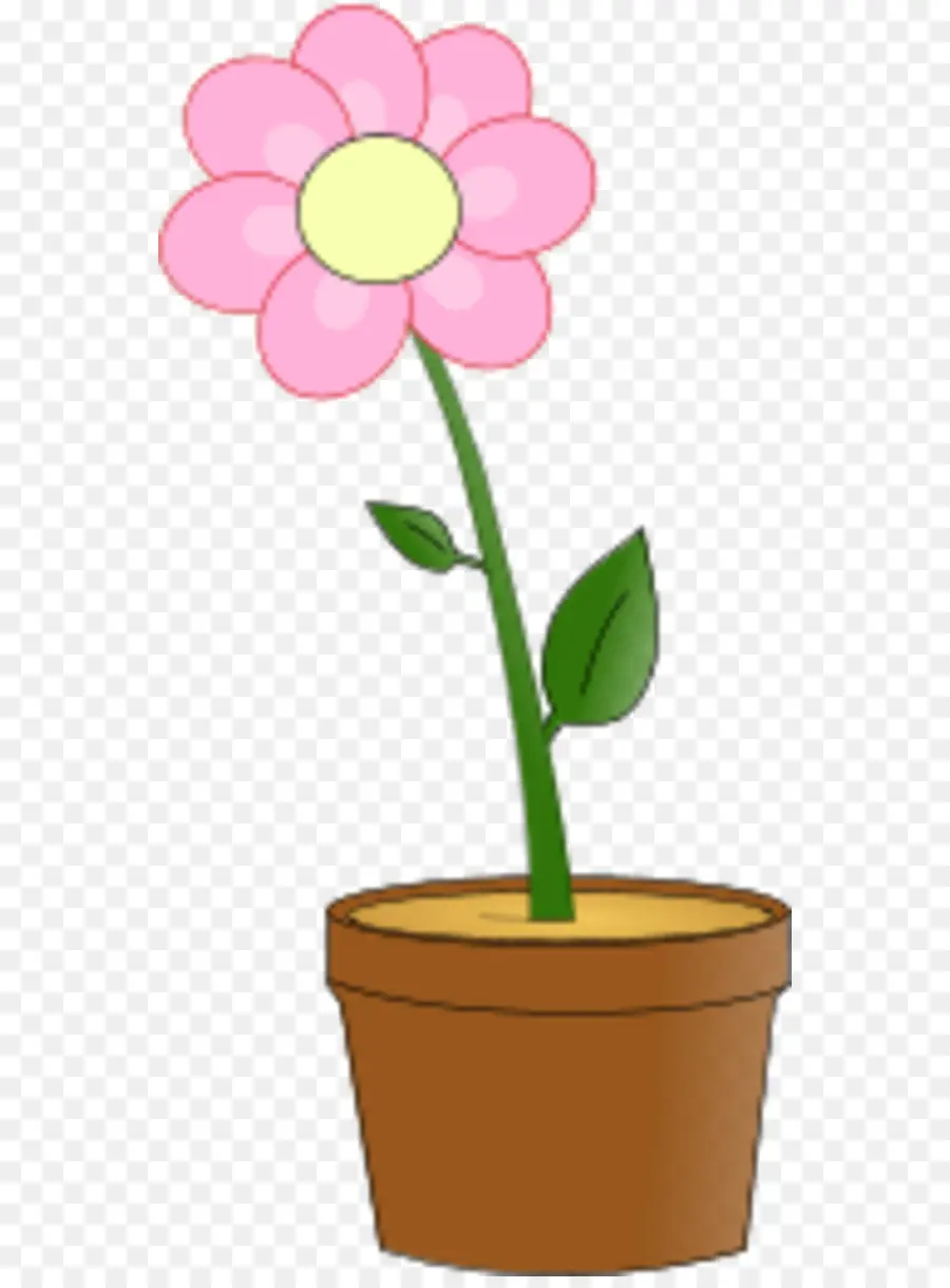 Fleur En Pot，Rose PNG