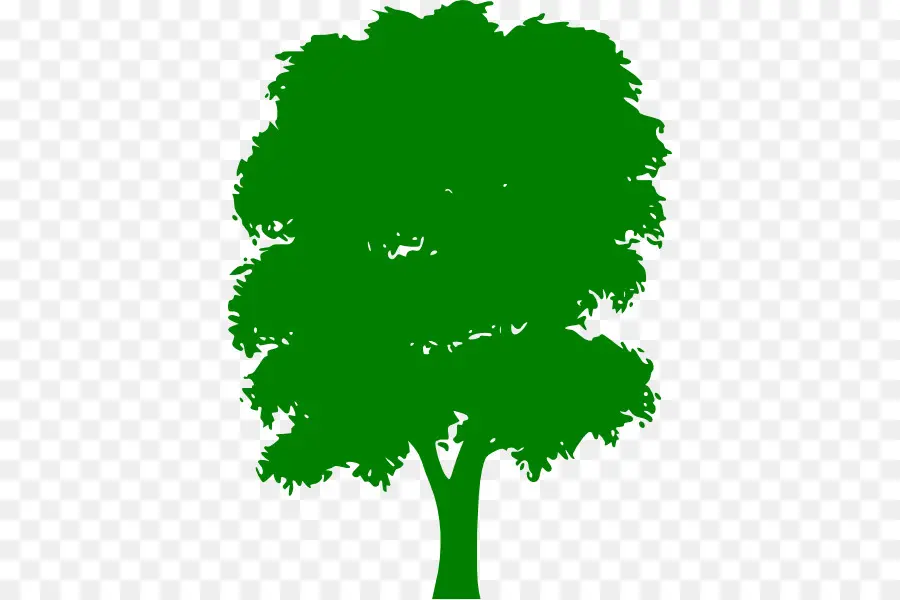 Arbre，Feuilles PNG