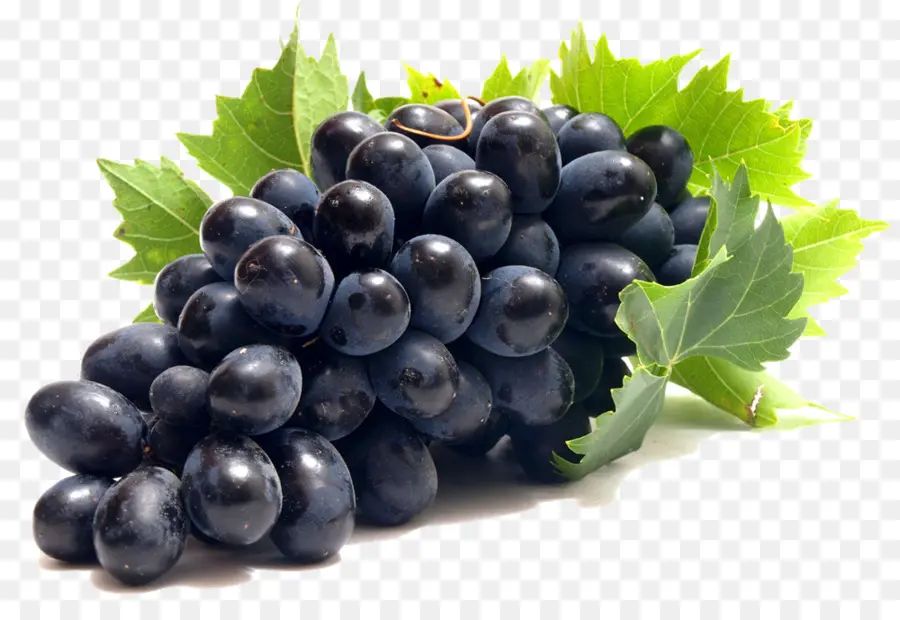 Raisins，Vigne PNG