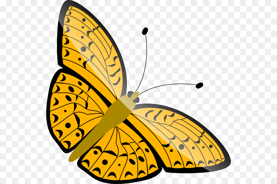 Papillon，Dessin Animé PNG