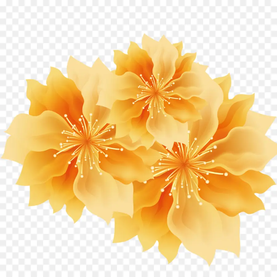 Jaune，Fleur PNG
