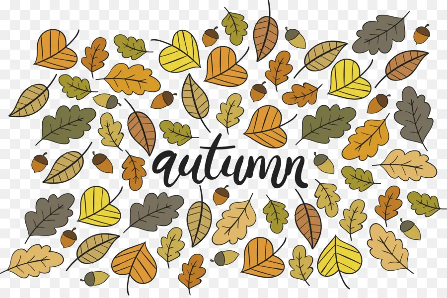 Automne，Feuille PNG
