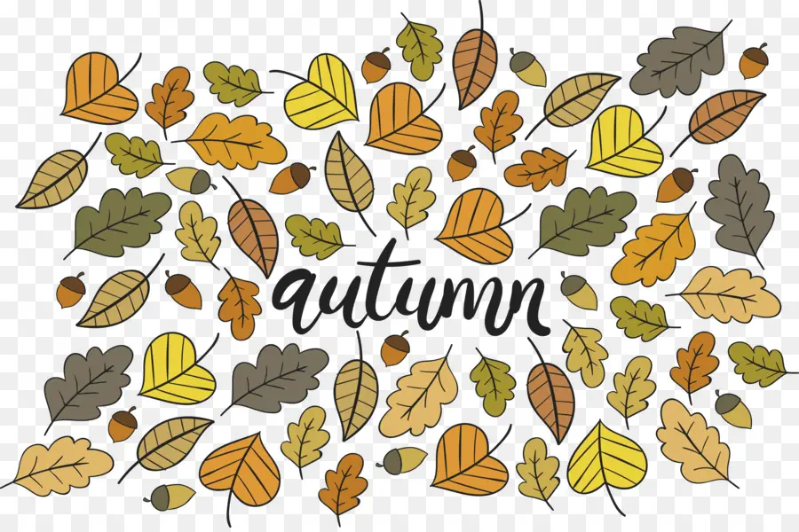 Feuilles D'automne，Feuilles PNG