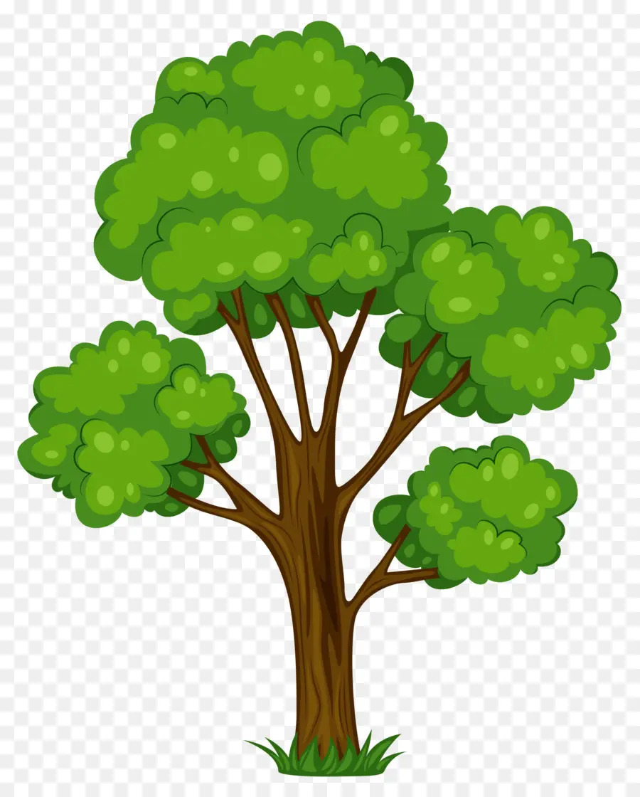 Arbre，Usine PNG