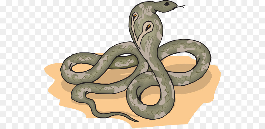 Serpent，Reptile PNG