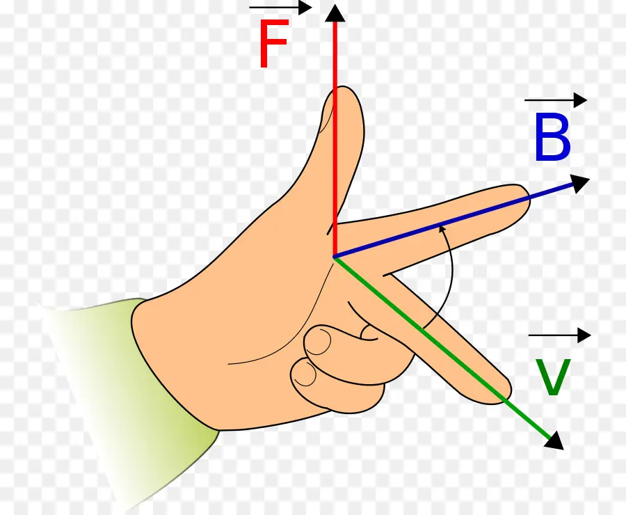 Règle De La Main Gauche De Fleming，Physique PNG