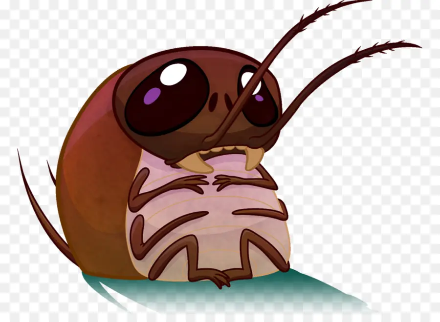 Insecte Mignon，Dessin Animé PNG