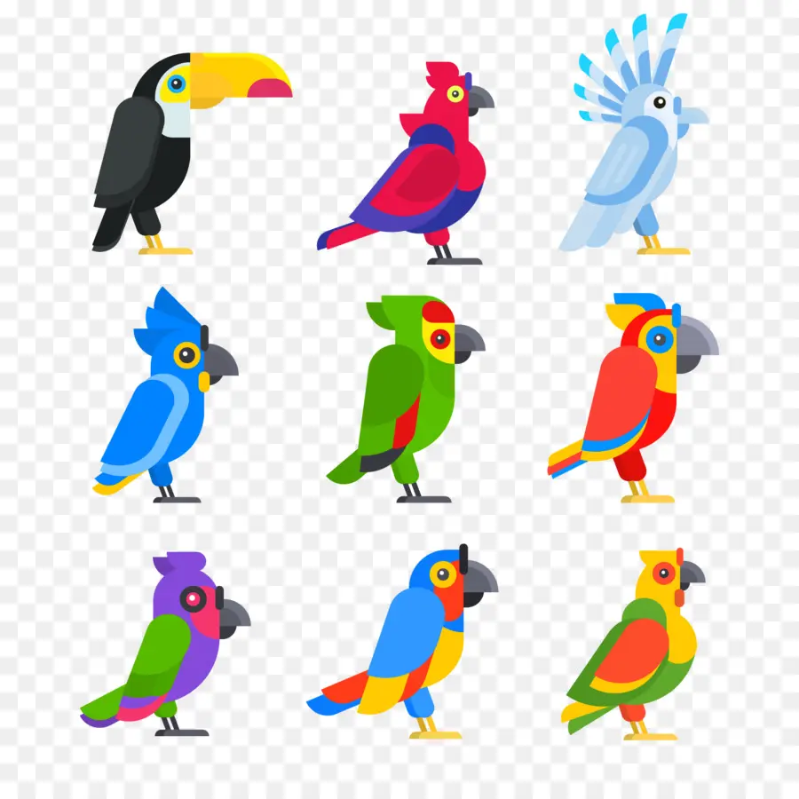 Perroquets Colorés，Différentes Couleurs PNG