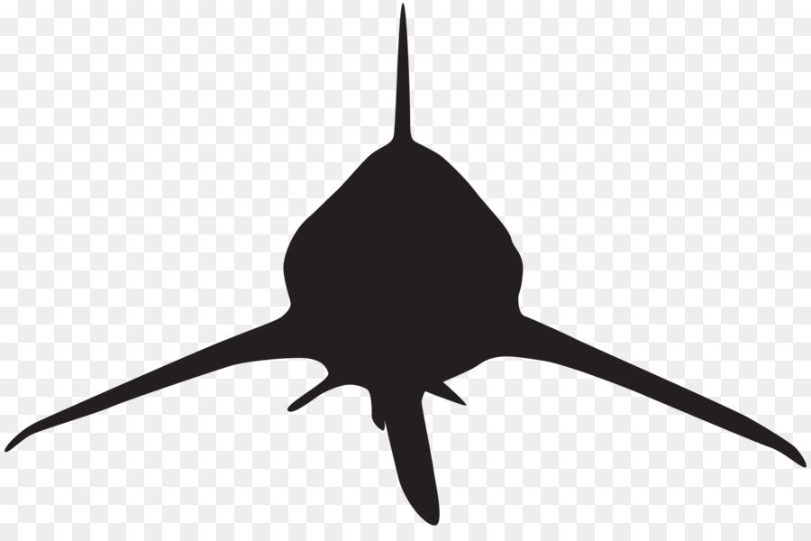 Requin，Attaque De Requin PNG