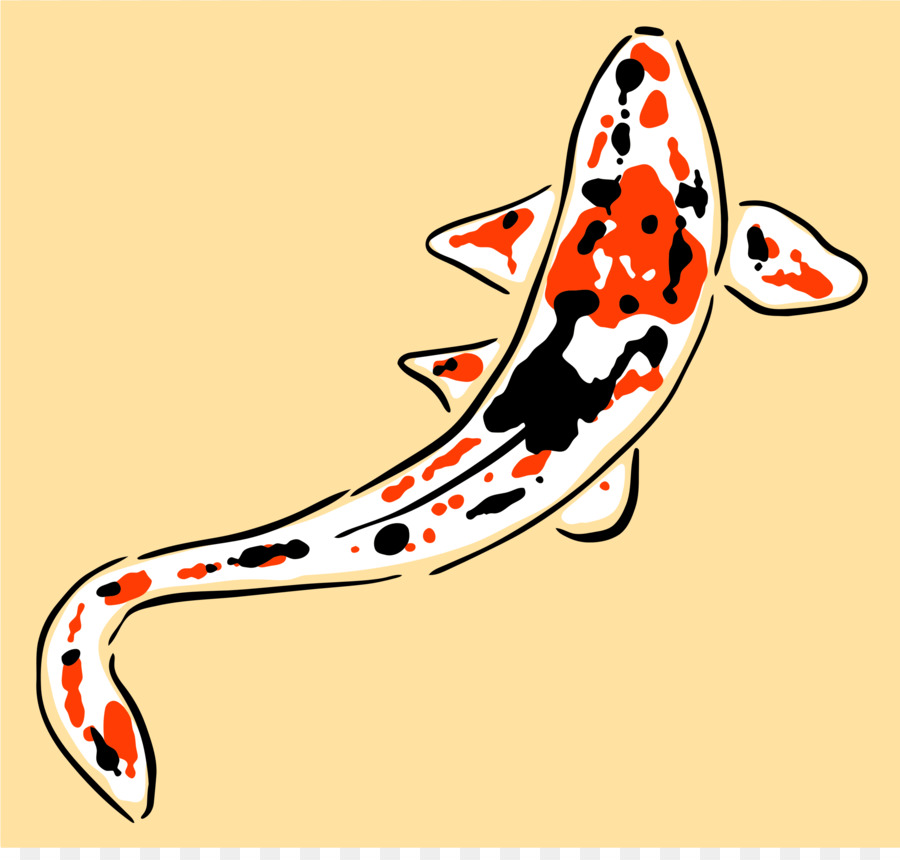 Poisson Koi，Poisson PNG