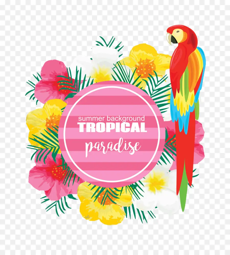 Perroquet Tropical，Coloré PNG