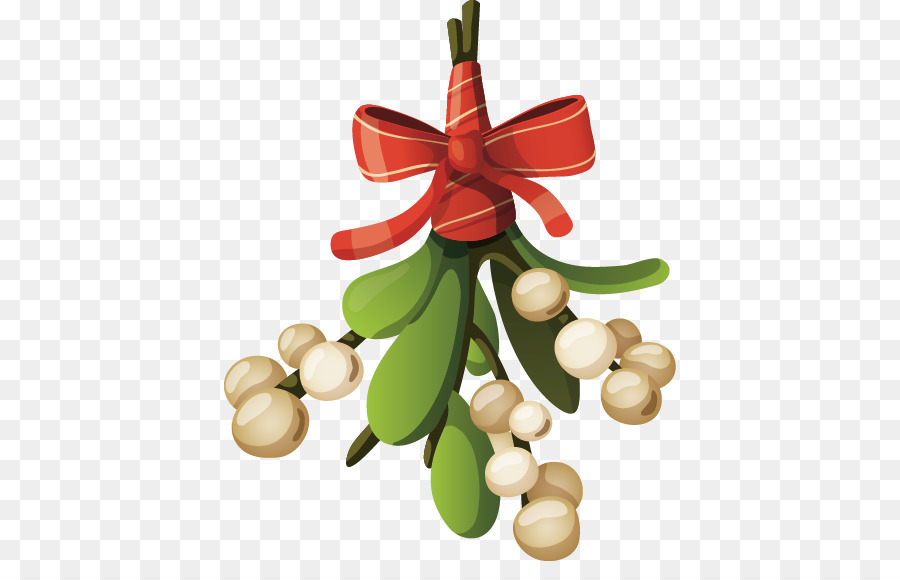 Le Père Noël，Noël PNG