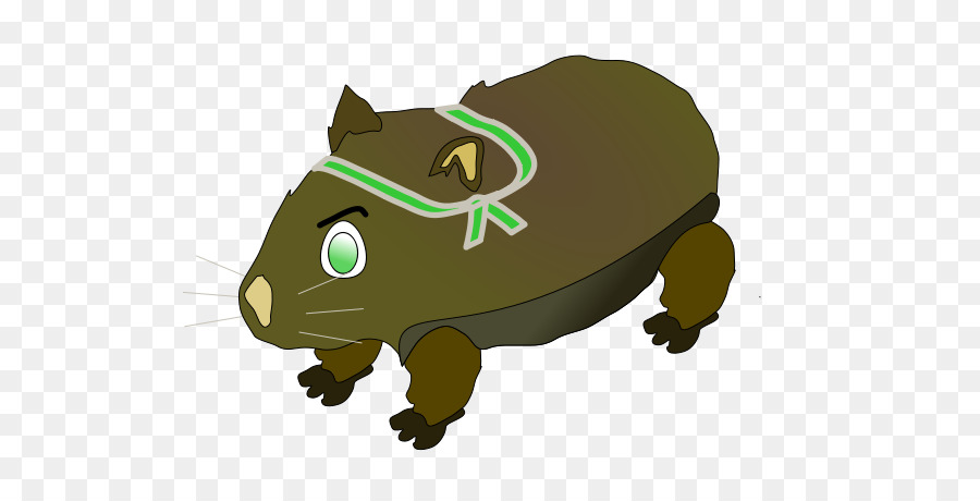 Wombat，Dessin Animé PNG